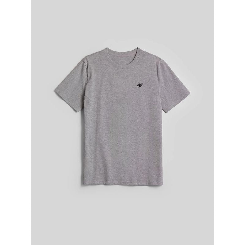 Men's regular plain T-shirt 4F 4FRMM00TTSHM4192-27M