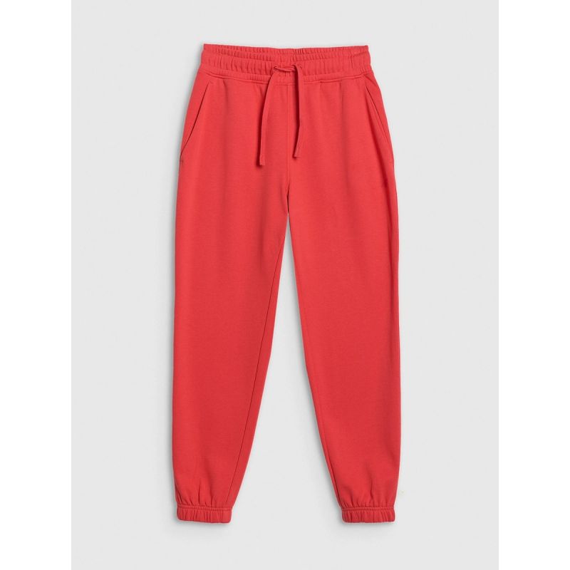 Women's jogger sweatpants 4F 4FWMM00TTROF1138-62S 4f