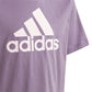 Adidas Essentials Big Logo Cotton Tee Jr IJ7061 Clothing/Training Adidas