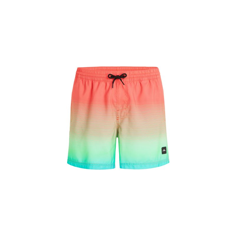 O'Neill Jack Cali Gradient 15'' Swim Shorts M 92800613575 Clothing/Swimming/ONeill Your Sports Performance