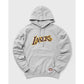 Mitchell &amp; Ness Team Logo Hoody Los Angeles Lakers M HDSSINTL1050-LALGREY Clothing/Lifestyle/Mitchell & Ness Your Sports Performance