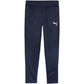 Puma Team Goal Training Pants M 658639 06 Clothing/Training Puma