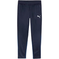 Puma Team Goal Training Pants M 658639 06 Clothing/Training Puma