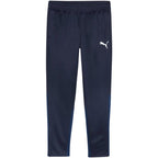 Puma Team Goal Training Pants M 658639 06 Clothing/Training Puma