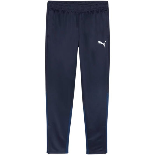 Puma Team Goal Training Pants M 658639 06 Clothing/Training Puma