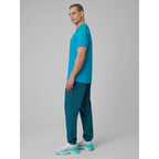 Men's quick-drying training pants 4F 4FRSS26TFTRM1411-30S