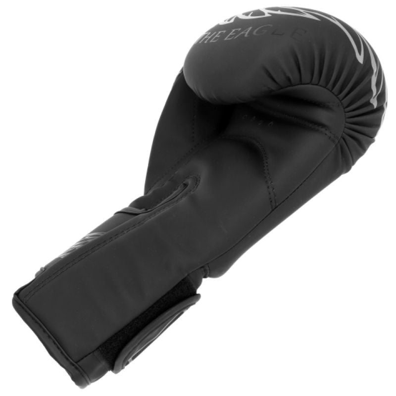RPU-BLACK-EAGLE boxing gloves Clothing Your Sports Performance