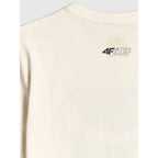 Men's regular printed T-shirt 4F 4FRSS26TTSHM4291-11S