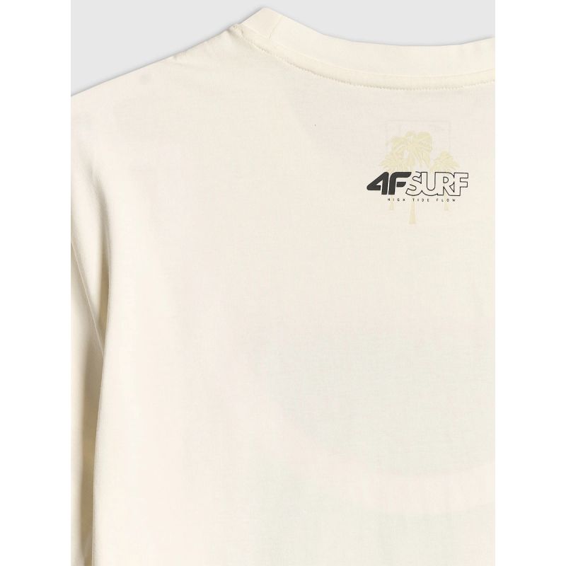 Men's regular printed T-shirt 4F 4FRSS26TTSHM4291-11S