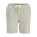 Jack&Jones men's striped shorts JPSTJAIDEN COBA STRIPE JOG SHORTS REG SN 12274413 TEA/STRIPES Jack&Jones