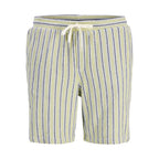 Jack&Jones men's striped shorts JPSTJAIDEN COBA STRIPE JOG SHORTS REG SN 12274413 TEA/STRIPES Jack&Jones