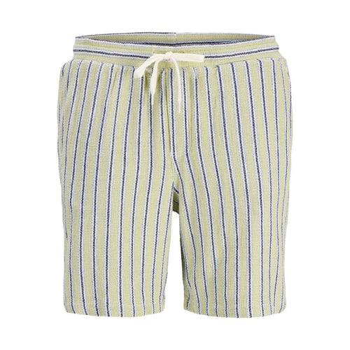 Jack&Jones men's striped shorts JPSTJAIDEN COBA STRIPE JOG SHORTS REG SN 12274413 TEA/STRIPES Jack&Jones