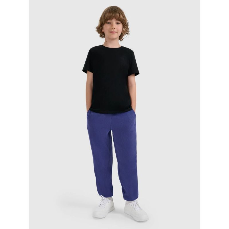 Boy's regular plain T-shirt 4F 4FJRMM00TTSHM3254-20S 4f