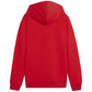 Puma Team Goal Casuals Hoddy Jr sweatshirt 658619 01 Clothing/Training Puma