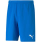 Puma teamRISE Short M 704942 02 Clothing/Football Puma