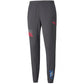 Puma Neymar Jr Futebol Training Pant M 605600 07 Clothing/Football Puma