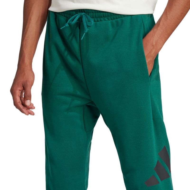 adidas Essentials Big Logo French Terry Pants M JE8971 Clothing/Lifestyle/Trousers, shorts Adidas