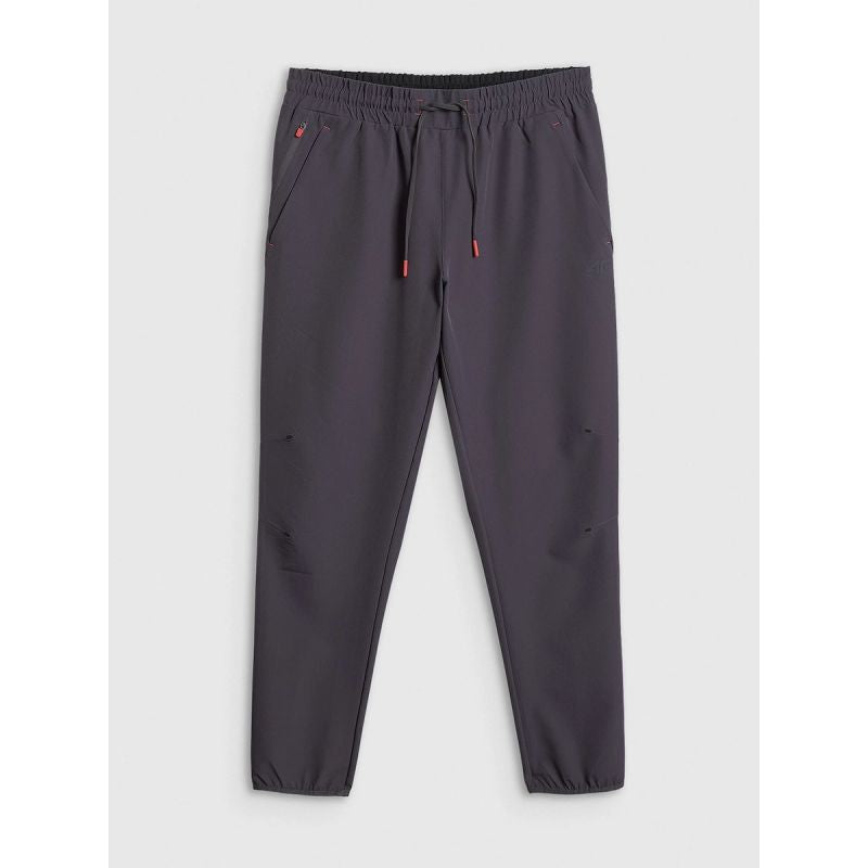 Men's quick-drying training pants 4F 4FRSS26TFTRM1411-23S