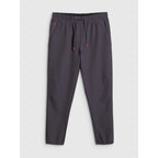 Men's quick-drying training pants 4F 4FRSS26TFTRM1411-23S