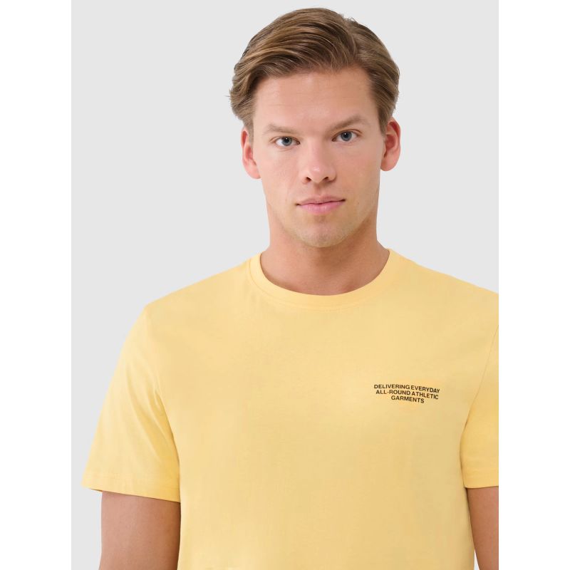 Men's regular T-shirt with print 4F 4FWSS25TTSHM1974- 4F 4FWSS25TTSHM1974-71S *Kategoria tymczasowa Your Sports Performance