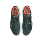 Nike Zoom Freak 2 "Bamo" Giannis Antetokounmpo basketball shoes - DC9853-300 Obuwie/Buty do koszykówki męskie/Nike Your Sports Performance