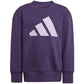 Kids' adidas Essentials Joggers purple tracksuit JW2439 In preparation Adidas