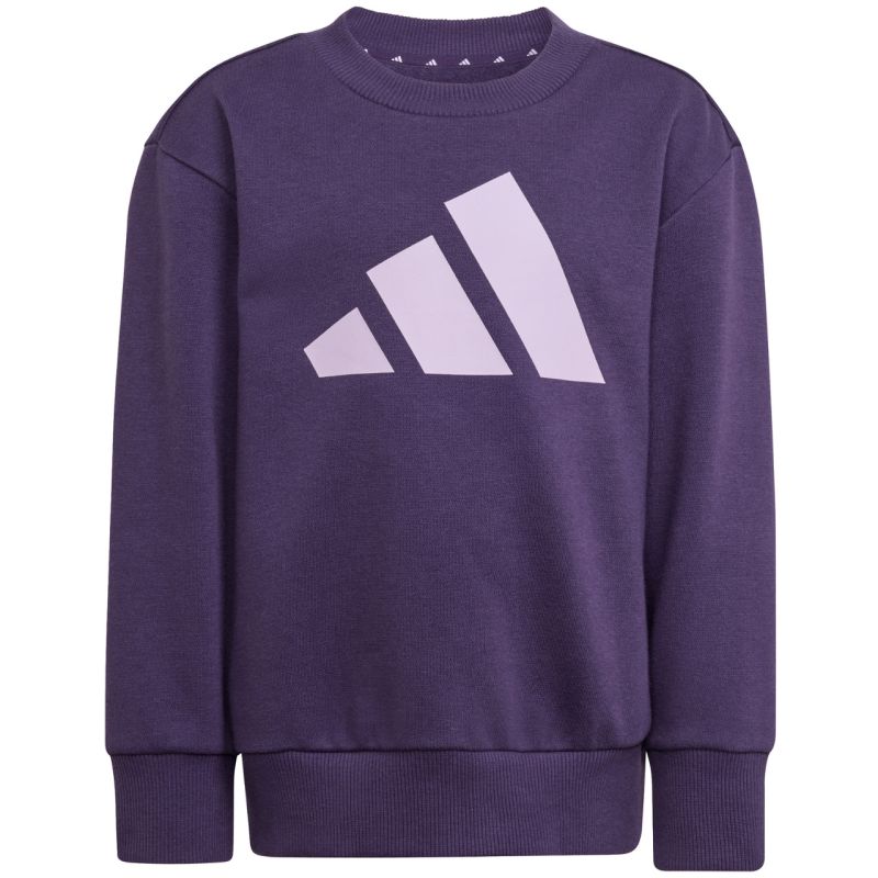 Kids' adidas Essentials Joggers purple tracksuit JW2439 In preparation Adidas