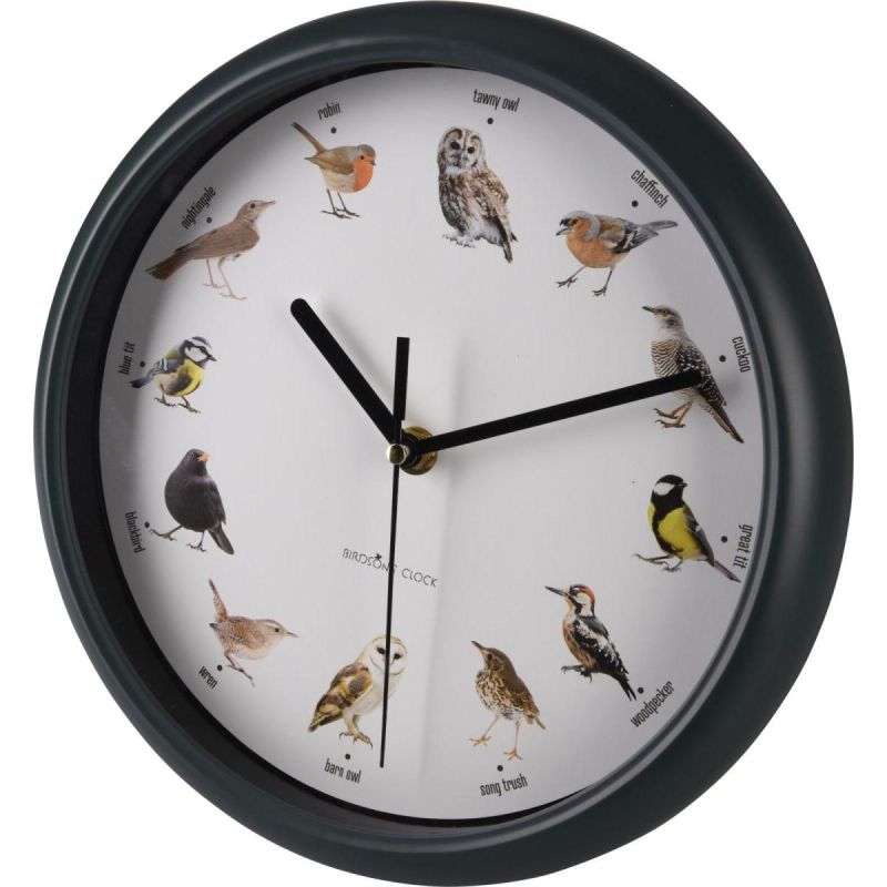 ORNITHOLOGIST WALL CLOCK 25CM Home and Garden/Equipment Your Sports Performance