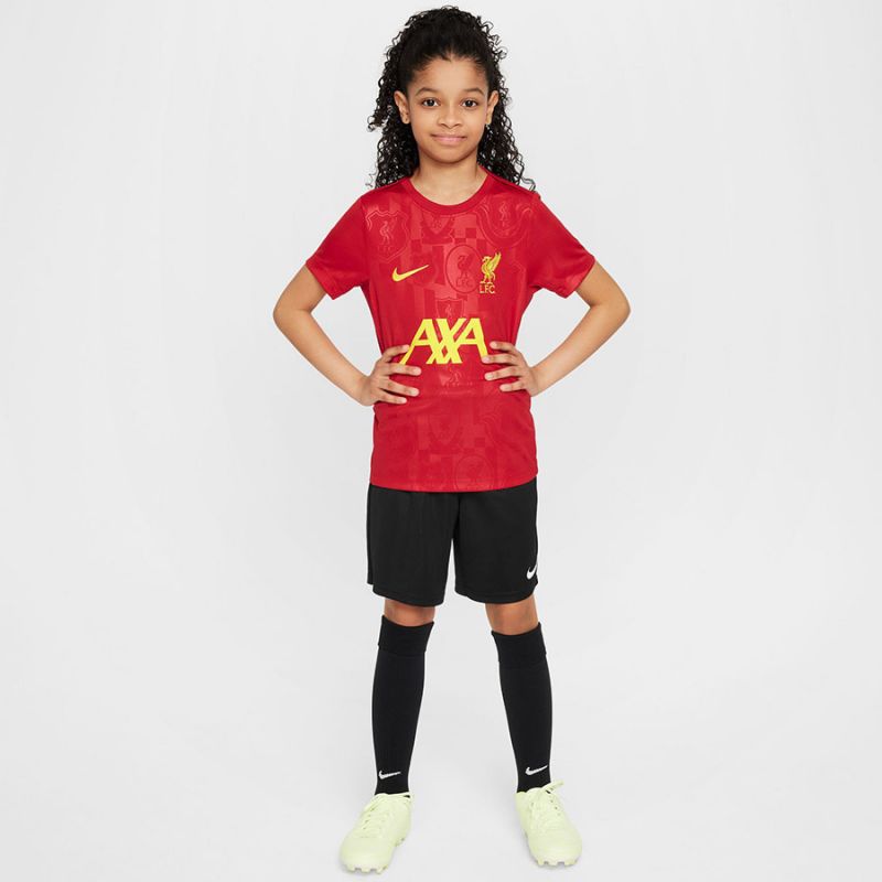 Nike Liverpool FC Academy Pro SS Top Jr FQ0013-688 Clothing/Football Nike