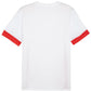 Puma teamGoal Matchday Jersey M 705747 11 Clothing/Football Your Sports Performance