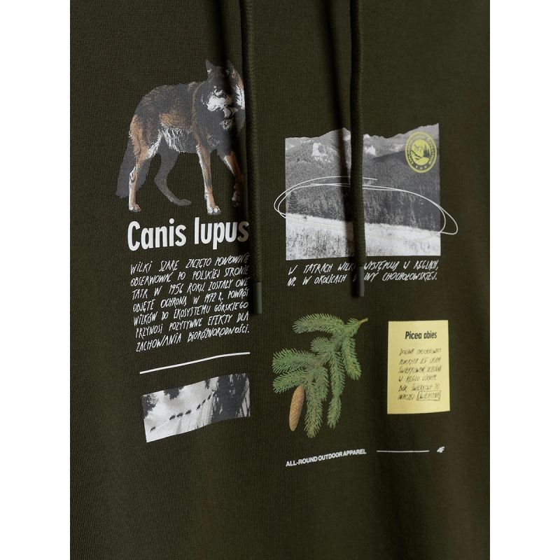 Men's regular hooded sweatshirt 4F 4FRAW26TSWSM3162-43S