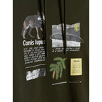 Men's regular hooded sweatshirt 4F 4FRAW26TSWSM3162-43S