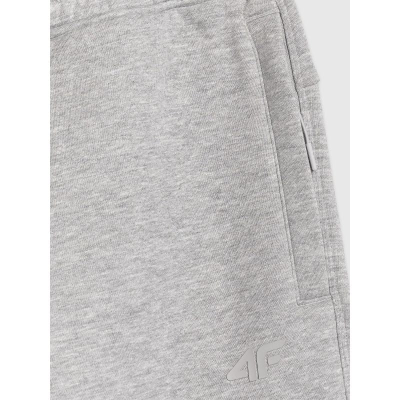 Men's jogger sweatpants 4F 4FRAW25TTROM1832-27M 4f