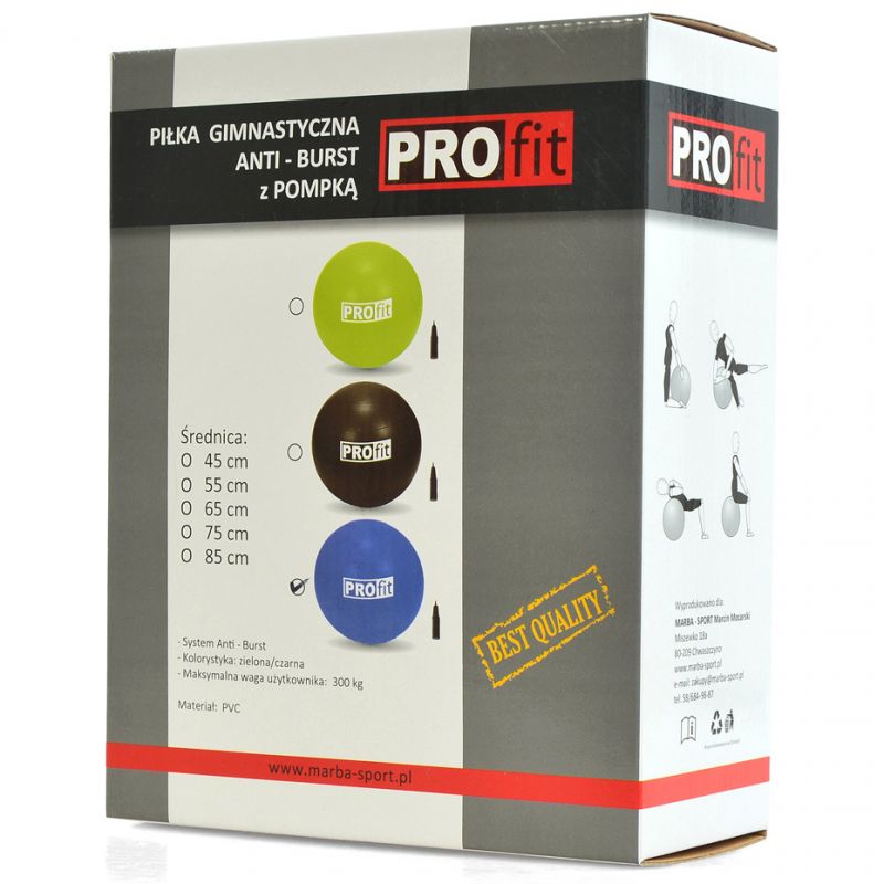 Profit 65cm gym ball DK 2102 Accessories/Training equipment Your Sports Performance