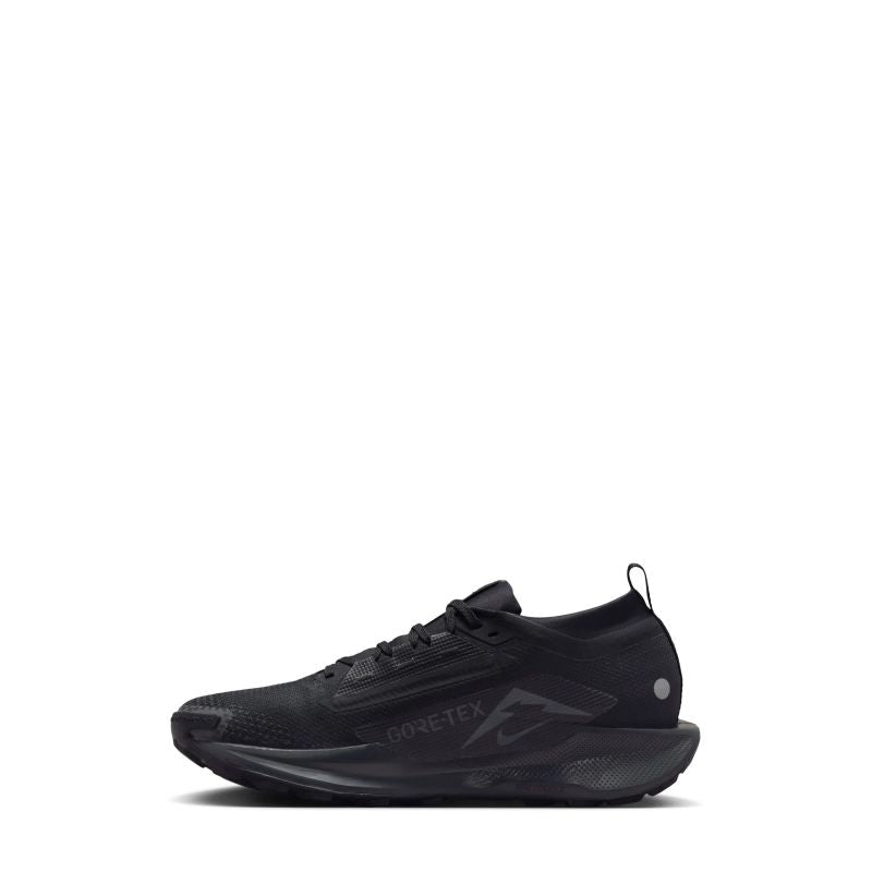 Nike W REACTX PEGASUS TRAIL 5 GTX (FQ0912-002) To be categorized Your Sports Performance