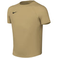 Nike Dri-Fit Park VIII Kids T-Shirt Gold HV8182 729 Clothing Your Sports Performance