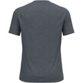 Men’s technical T-shirt Odlo T-shirt crew neck s/s X-ALP PW 115