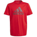 T-shirt adidas Big Logo Tee Jr IJ6262 Clothing/Lifestyle/T-shirts Adidas