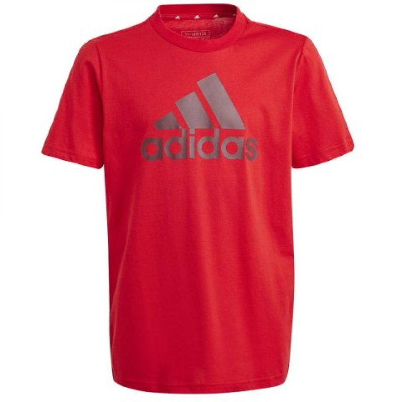 T-shirt adidas Big Logo Tee Jr IJ6262 Clothing/Lifestyle/T-shirts Adidas