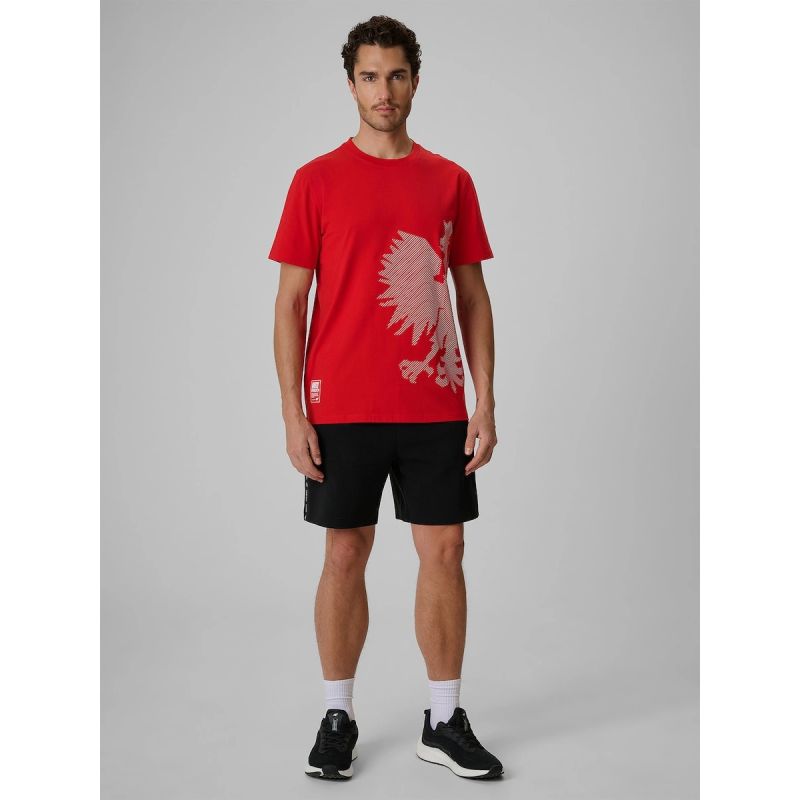 Men's cotton fan T-shirt 4F 4FRSS26TTSHM4200-62S