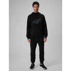 Men's jogger sweatpants 4F 4FRSS26TTROM2110-20S