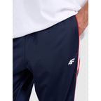 Men's jogger sweatpants 4F 4FRAW25TTROM1611-31S 4f