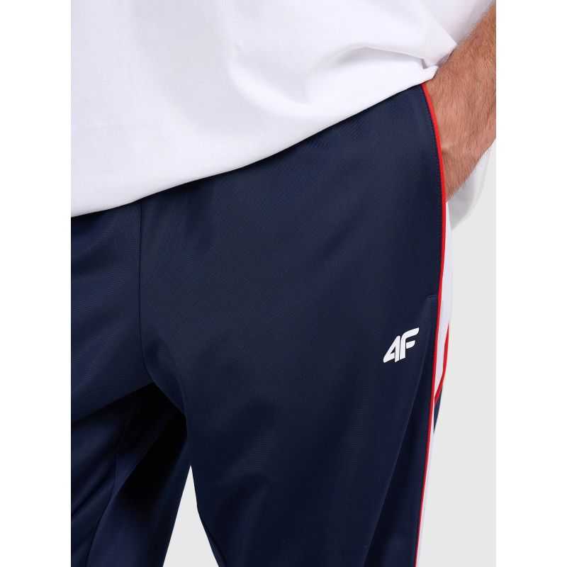 Men's jogger sweatpants 4F 4FRAW25TTROM1611-31S 4f