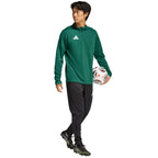 Men's adidas Entrada 26 Training Top green KE9823 To be categorized Your Sports Performance