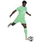 adidas Manchester United Third GK Jersey JP3055