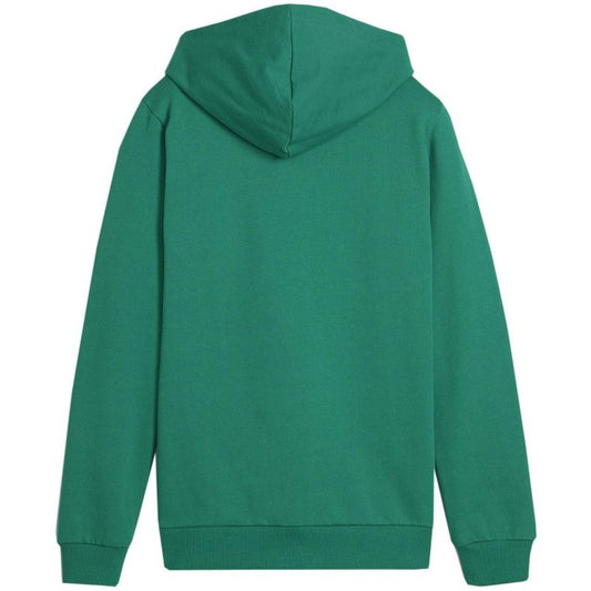 Puma Team Goal Casuals Hoddy Jr sweatshirt 658619 05 Clothing/Training Puma
