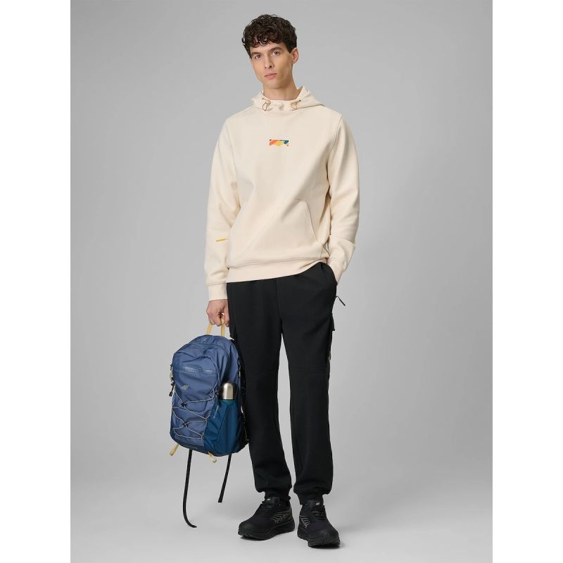 Men's cargo sweatpants 4F 4FRSS26TTROM1916-20S 4f