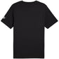 Puma Sport Graphic Tee M 684617 01 Clothing/Lifestyle/T-shirts Puma