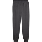 Puma ESS 2 Color No. 1 Logo Pants M 684713 44 Clothing/Lifestyle/Trousers, shorts Your Sports Performance