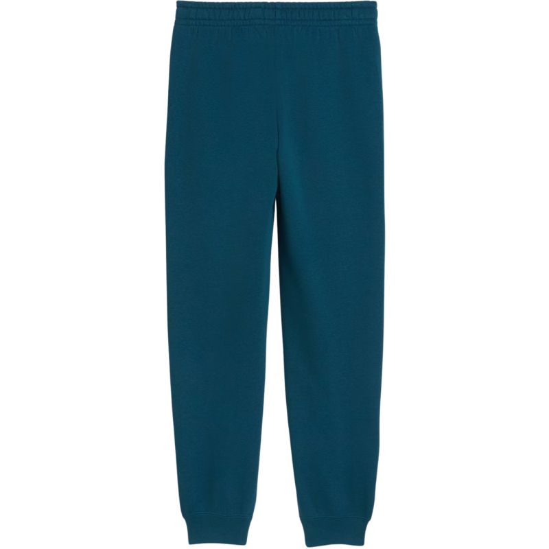 Puma ESS 2 Color No. 1 Logo Turquoise Kids' Pants 685824 36